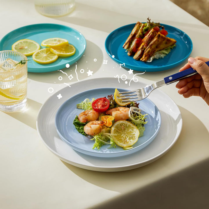 Round Porcelain Plates Set of Sweese